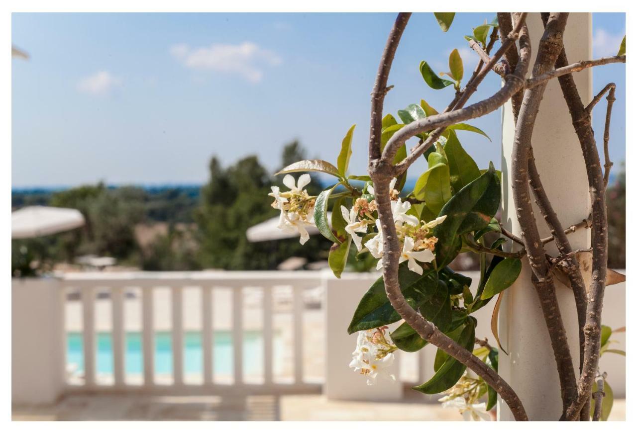 Marinelli Guest House Cisternino Extérieur photo